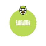BarracudaComp