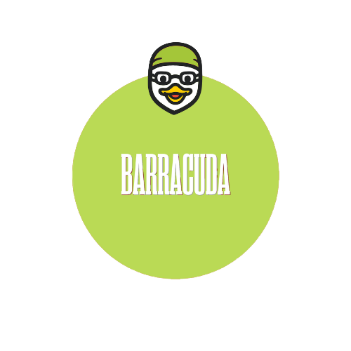 Barracuda