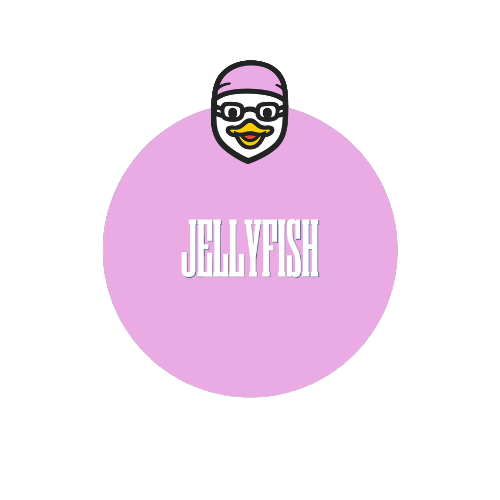 Jellyfish