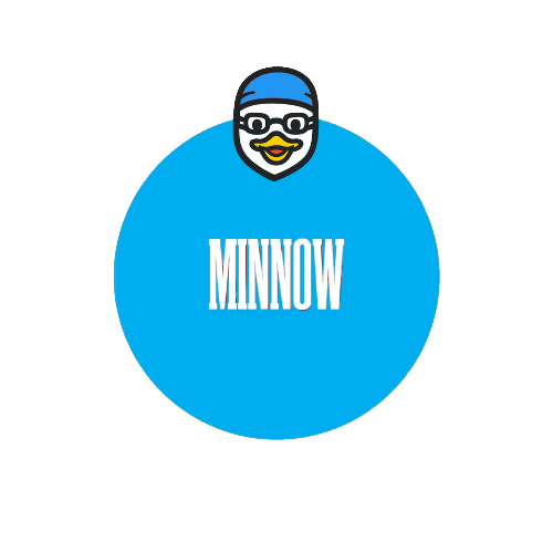Minnow